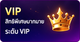 VIP รับสิทธิพิเศษมากมาย
